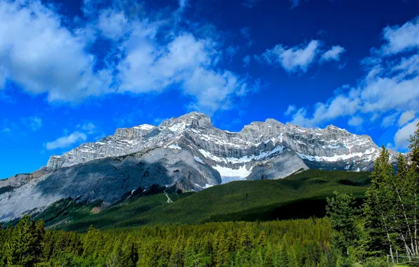 Forest, mountains, Canada, Albert, Banff National Park, Alberta, Canada, Banff