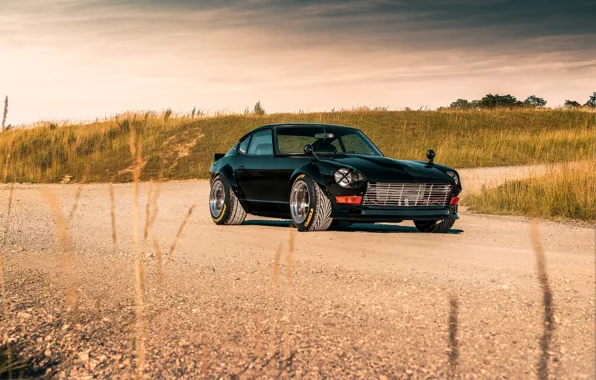 Road, design, style, sports, Nissan, Car, Datsun, the front