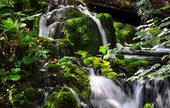 Picture stones, moss, cascade