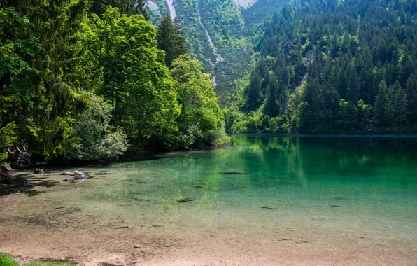 Picture Nature, Lake, Forest