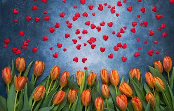 Hearts, tulips, red, flowers, romantic, hearts, tulips