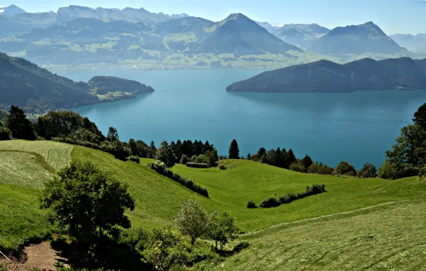 Mountains, lake, field, Switzerland, meadows, Lake Lucerne