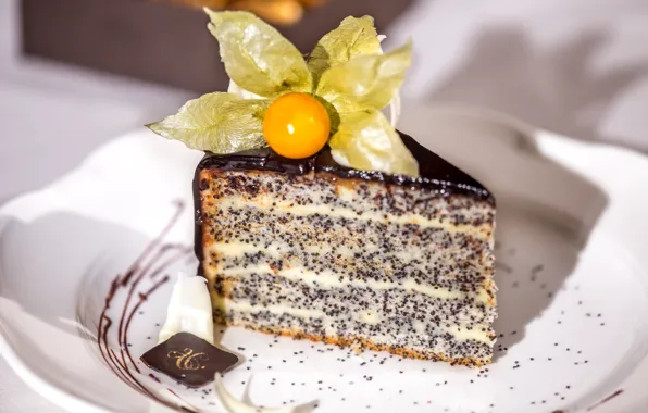 Cake, dessert, physalis