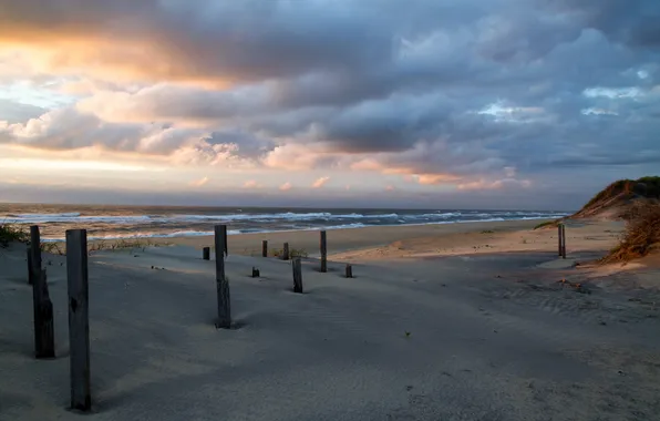 Picture sea, beach, morning