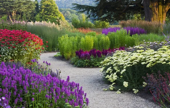 Trees, flowers, Park, garden, track, path, different