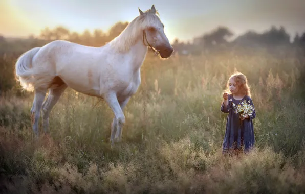 Picture nature, horse, girl