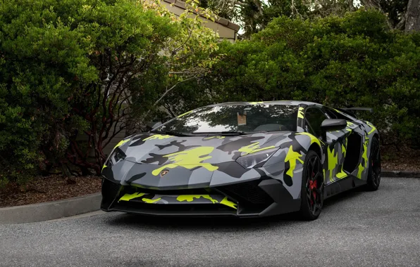 Picture Lamborghini, Aventador, Camo
