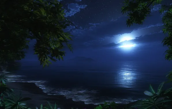 Beach, night, the moon, sea. romance
