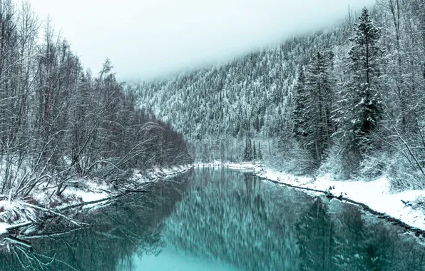 Picture winter, forest, snow, landscape, nature, fog, river