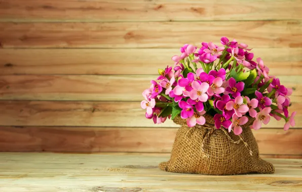 Flowers, summer, pink, pink, flowers