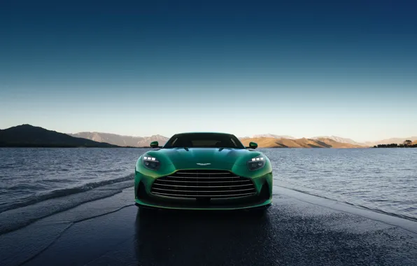 Picture rocks, Aston Martin, lights, front view, pond, water, rocks, grille