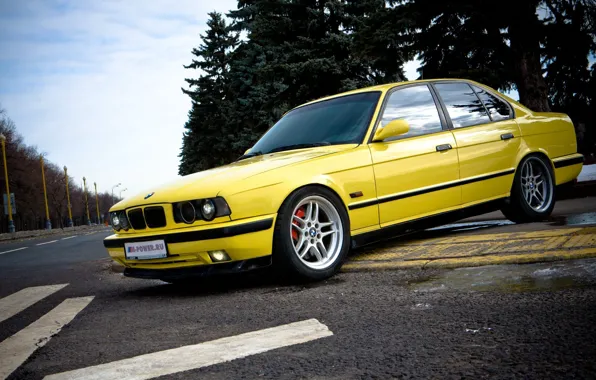 Picture BMW, E34, 5, BMW5