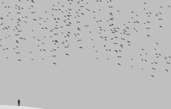 The sky, bird, people