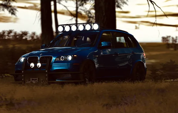 HDR, BMW, Wood, Snow, Game, SUV, X5M, Offroad