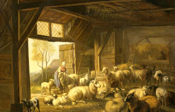 Animals, oil, picture, canvas, Jan van Ravenswaay, Sheep and Goats in the Barn