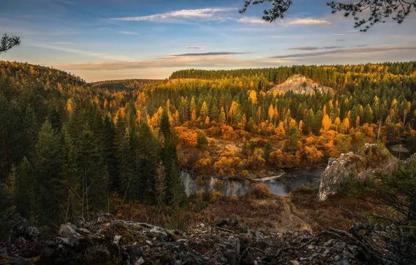 Trees, landscape, mountains, nature, river, ate, forest