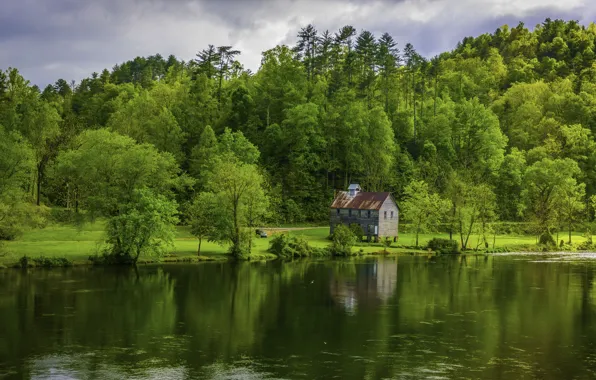 Nature, River, USA, Coast, Forest, Hiwassee River Tennessee