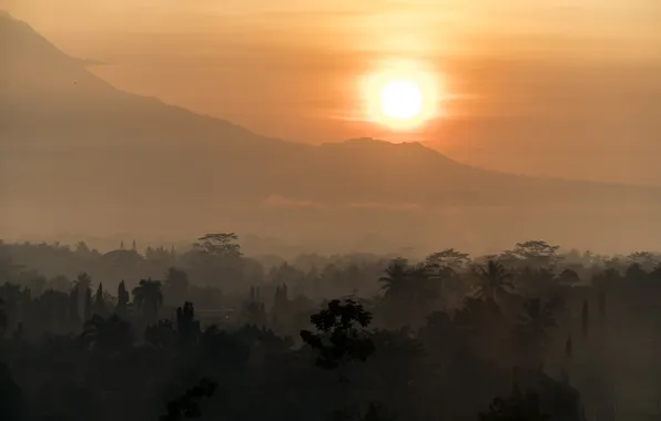 Landscape, dawn, Indonesia, Borobudur