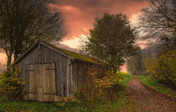 Autumn, trees, foliage, the barn, track, house, path