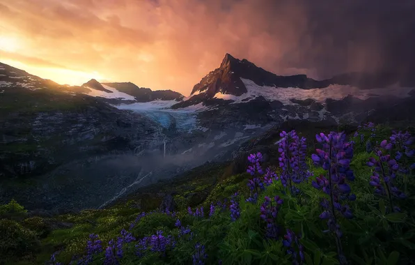 Summer, the sky, the sun, clouds, light, snow, flowers, mountains