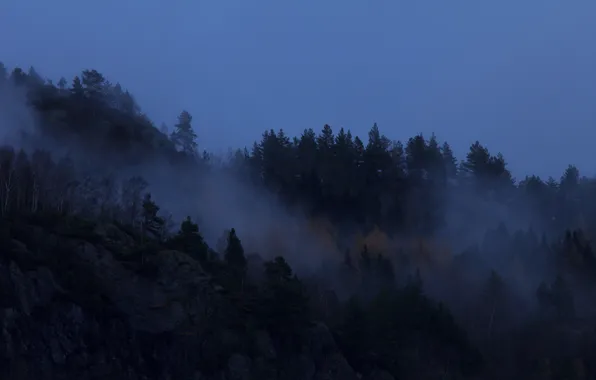 Forest, the sky, trees, nature, fog, Norway, twilight, Norway