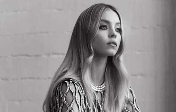 Picture look, girl, face, photo, black and white, Sydney Sweeney