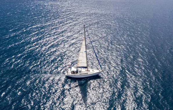 Sea, movement, the ocean, boat, yacht, sail, mast, the sun's reflection in the water