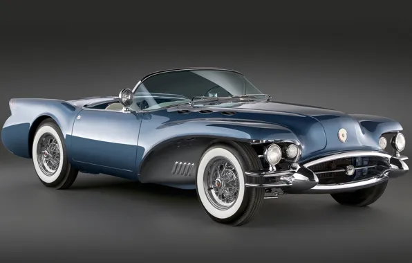 USA, Auto, Retro, Buick Wildcat