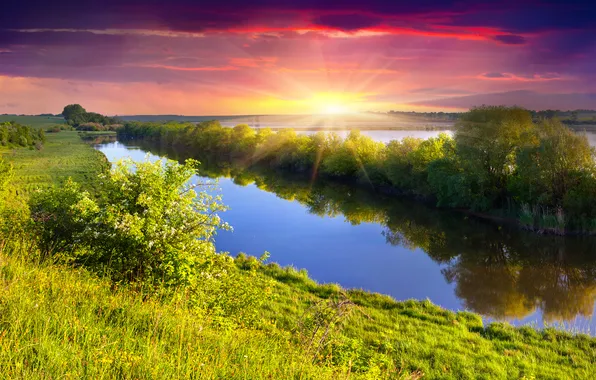 The sky, grass, the sun, trees, sunset, river, meadow, landscape