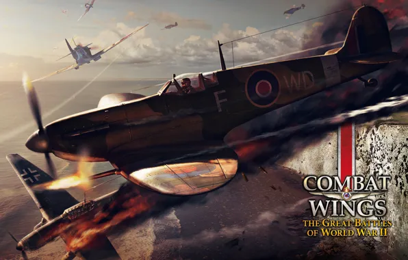 Wallpaper, gaming, 2013, Combat Wings