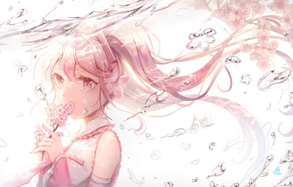 Picture girl, flowers, bubbles, branch, anime, petals, Sakura, tears