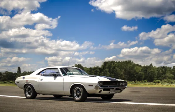 Picture Dodge, Challenger, white, '1970