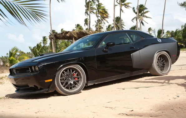 Picture beach, palm trees, the film, Dodge, Challenger, Fast and furious 5, SRT