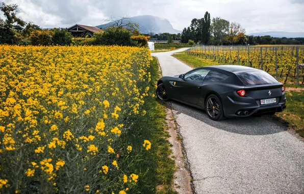 Flowers, Road, Black, Ferrari, Ass, Ferrari, Flowers, Black