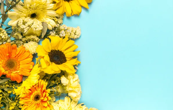 Sunflower, gerbera, clove