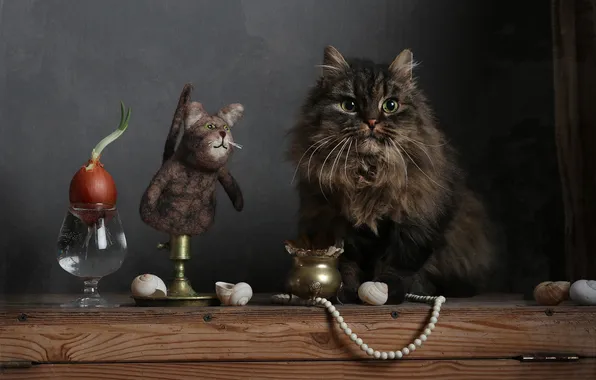 Cat, cat, look, pose, the dark background, table, grey, toy