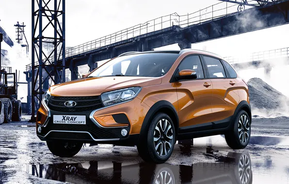 Concept, background, plant, orange, Lada, crossover, XRay