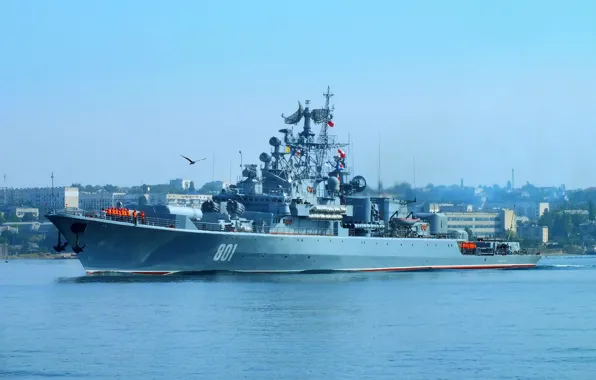 Ship, guard, 1135 project, Okay, cipher puffin