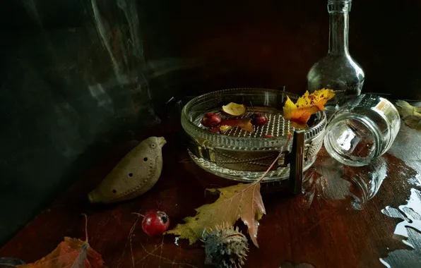 Glass, dishes, still life, autumn leaves