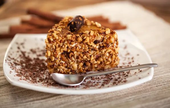 Chocolate, plate, spoon, cake, nuts, dessert, sweet, piece