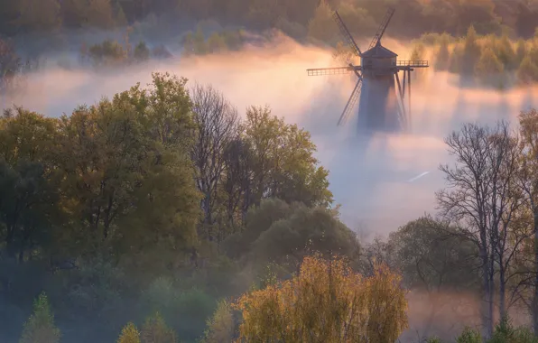 Autumn, trees, landscape, nature, fog, dawn, morning, mill
