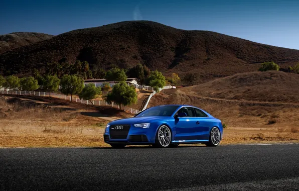 Audi, Car, Blue, RS5, Sport, Road, Wheels, Tuned
