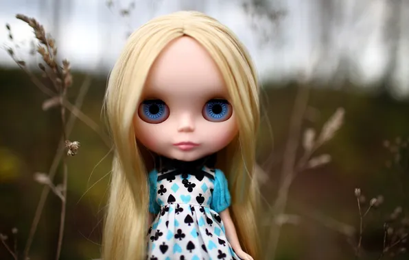 Toy, doll, dress, blonde