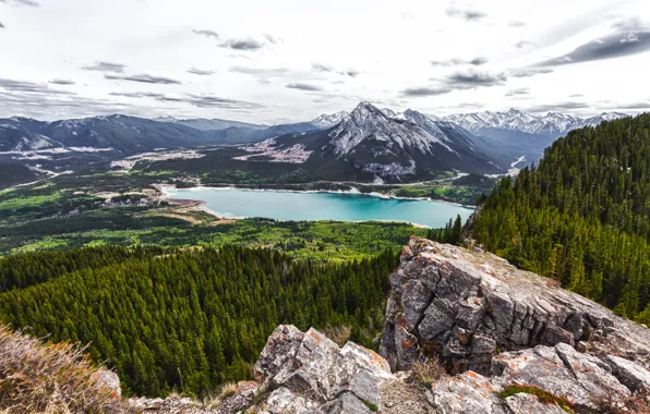 Picture forest, mountains, lake, Canada, Alberta, Canada, Barrier Lake