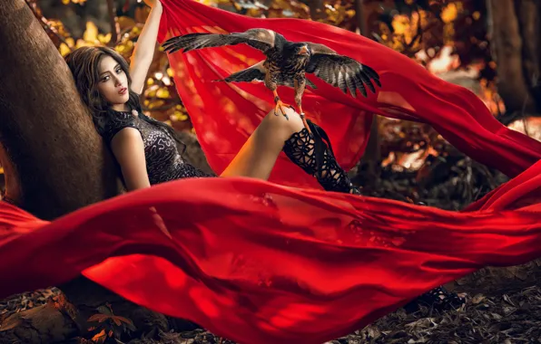 Girl, bird, the situation