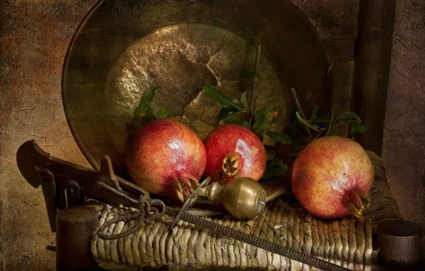 Texture, fruit, still life, garnet, Taz, copper