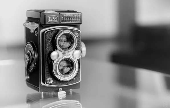 Picture macro, camera, Yashica Mat LM