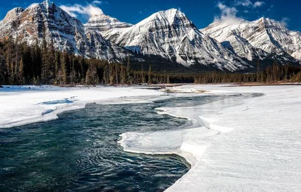 Ice, winter, forest, snow, mountains, river, Canada, Alberta