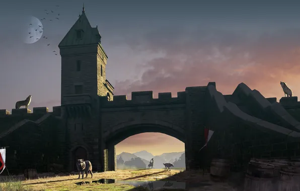 Wall, arch, wolves, barrels, Nobody here