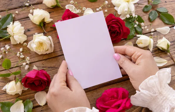 Flowers, holiday, Board, roses, hands, red, white, cardboard